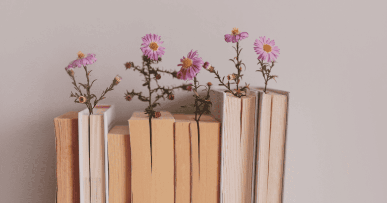 Read more about the article A Decade of Beloved YA Romance Novels: 2000s Edition