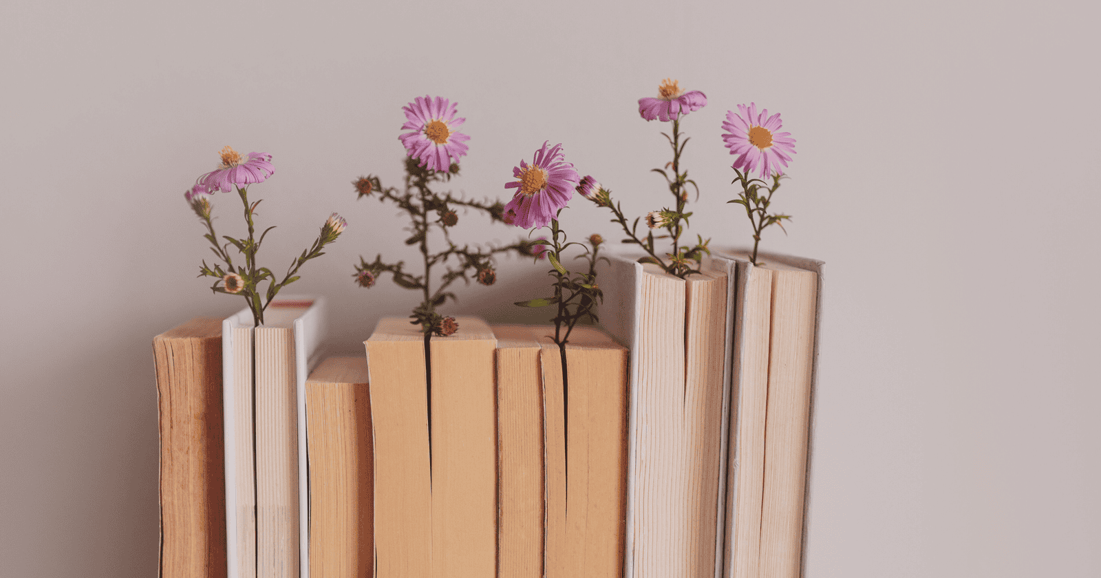 You are currently viewing A Decade of Beloved YA Romance Novels: 2000s Edition